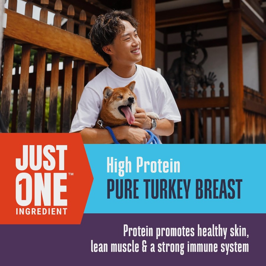 Whole Life Dog Just One Turkey - Food And Snacks High In Protein recension och pris