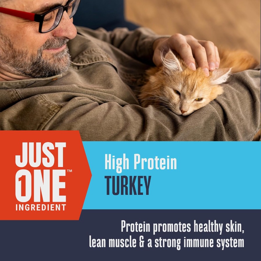Whole Life Cat Just One Turkey - Food And Snacks High In Protein recension och pris