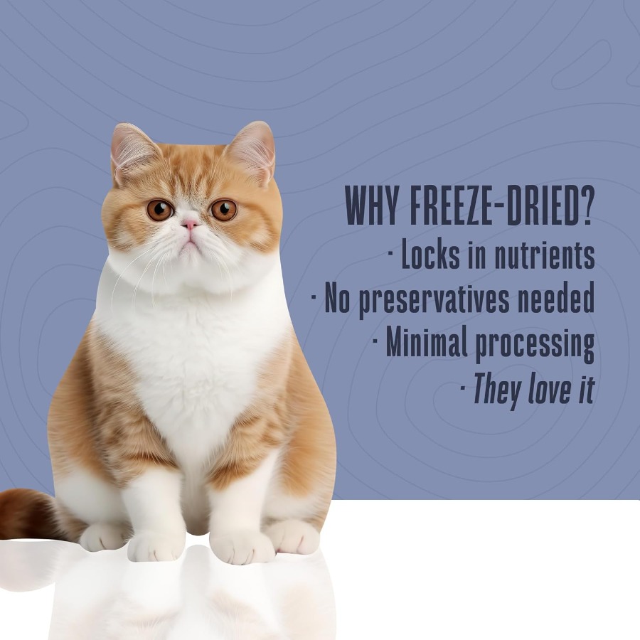 Whole Life Cat Just One Turkey - Food And Snacks High In Protein recension och pris