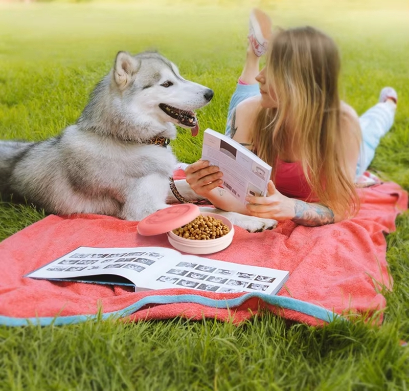 11/14cm2-in-1 Travel Dog Bowl  - Food Snacks For Camping recension och pris